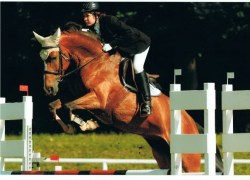 Vectra_Seewalchen Vektra