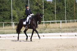 Diogenes am Weg zum Sieg in der S